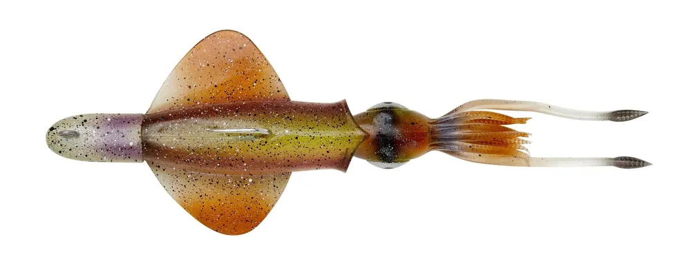 Fabrieksprijs Savage Gear SWIM SQUID RTF 25CM 200GR S HORNY SQUID plasztik csali