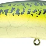 Lage Kosten Rapture Pro LP Poper 7g 6cm Bb, wobbler