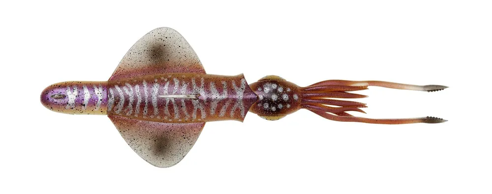 Savage Gear SWIM SQUID RTF 25CM 160GR S CUTTLEFISH plasztik csali Speciale Aanbieding