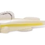 Fabrieksprijs Megabass Dark Sleeper 2.4" 3/8Oz 61mm 10.5g Shirauo gumihal