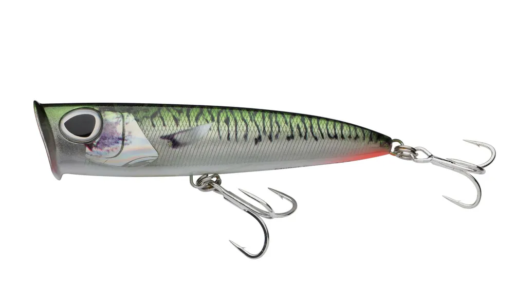 Direct Beschikbaar Berkley DEX Mullet Popper 14.5cm/69g Green Mackerel wobbler