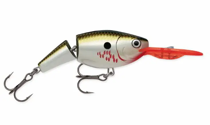 Snelle Levering Rapala JSR JOINTED SHAD RAP 04 BOF wobbler