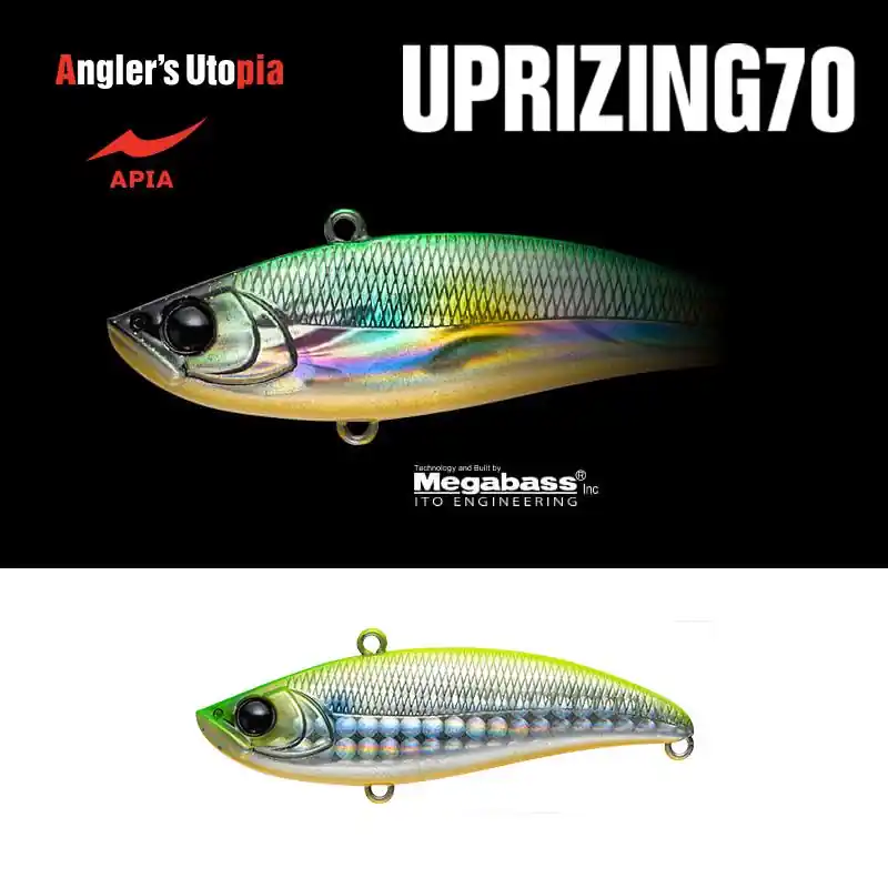 Laatste Kans Apia Uprizing 70 14g 70mm 07 Lgh Chart Back