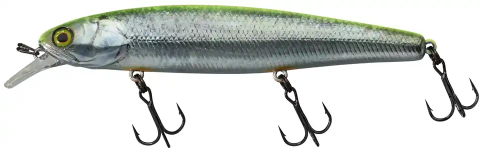 Illex Arnaud 11cm F RT Visible Roach Hete Deal
