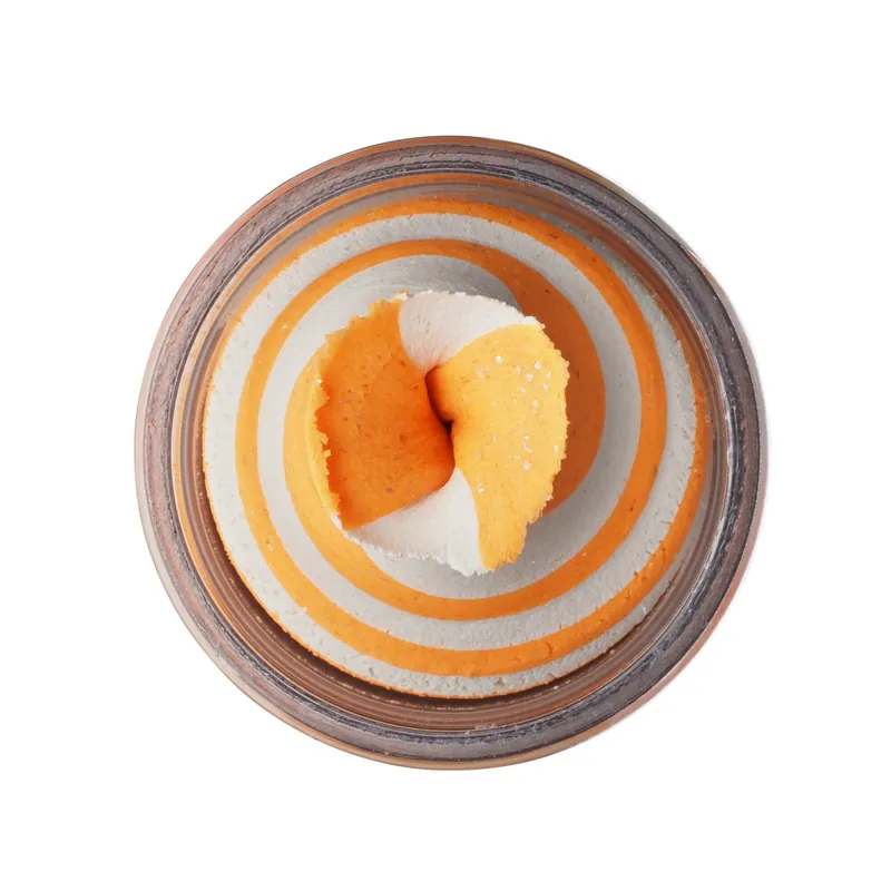 Berkley PowerBaitPowerBait® EU NTGL TRTBT FRUITS ORANGE SODA plasztik csali Goedkoop