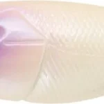 Aanbieding Rapture Chibi Pop F 37mm/2.5g Bn Ng wobbler