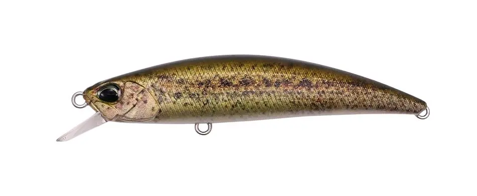 Duo Spearhead Ryuki 70F 7cm 5.3g Cccz214 Rp Loach Op = Op