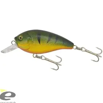 KAMASAKI WOBBLER FAT COL 2 Laatste Versie