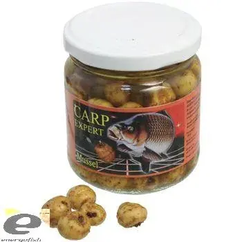 CARP EXPERT EPRES TIGRISMOGYORO LÉBEN Koop Online