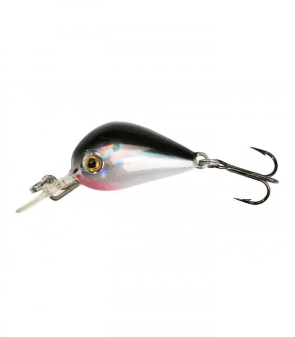 Mikado Duende 2.5F 04 Must-Have
