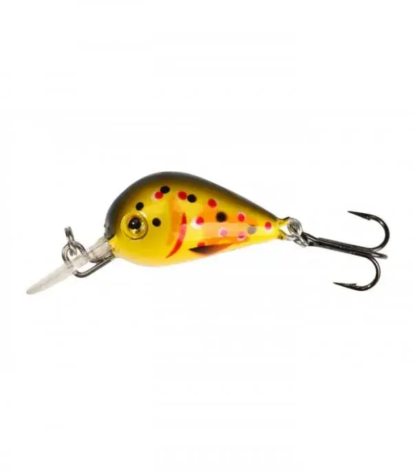 Shop Nu Mikado Duende 2.5F 69