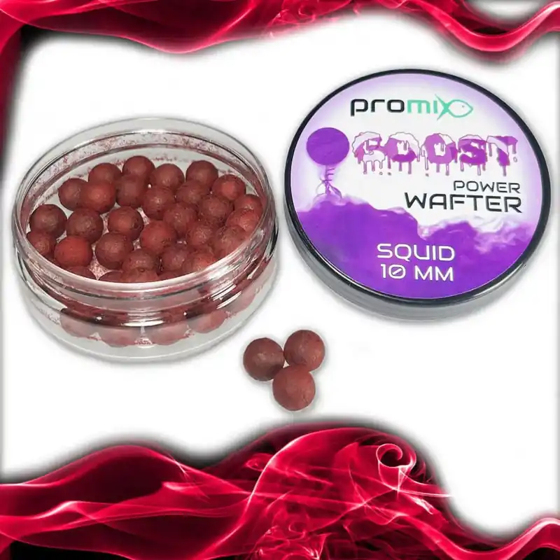 Korting PROMIX GOOST POWER WAFTER SQUID 10MM - Akciosho
