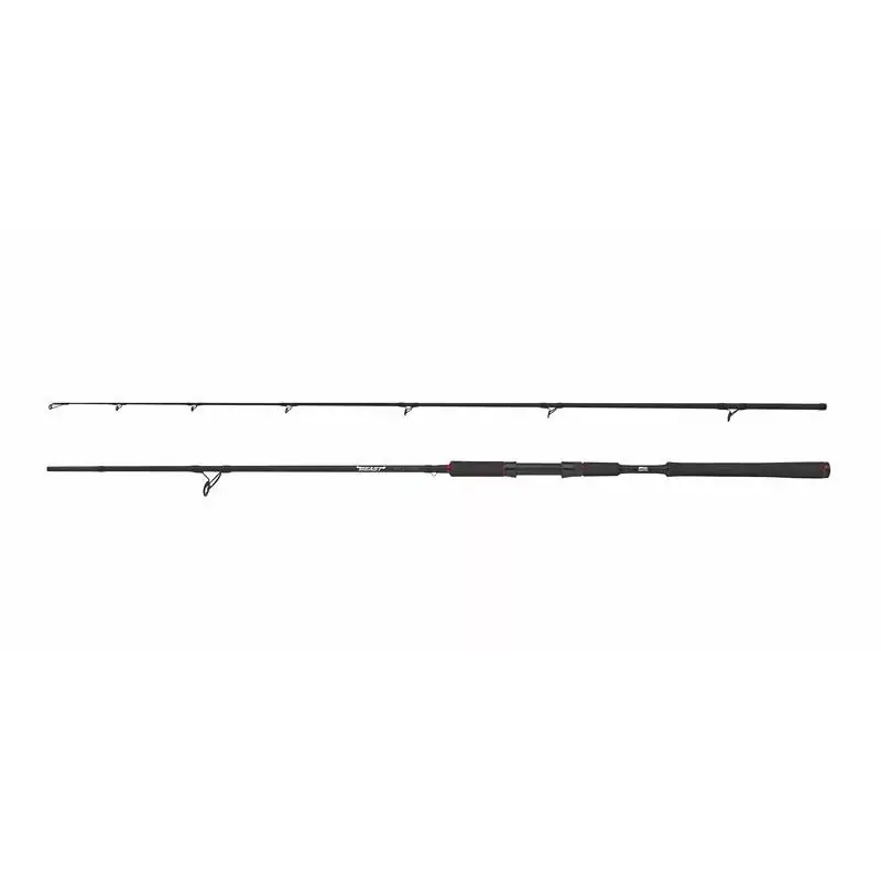 Abu Garcia BEAST Pike 802H 40-90g Spinning - Ak Korting