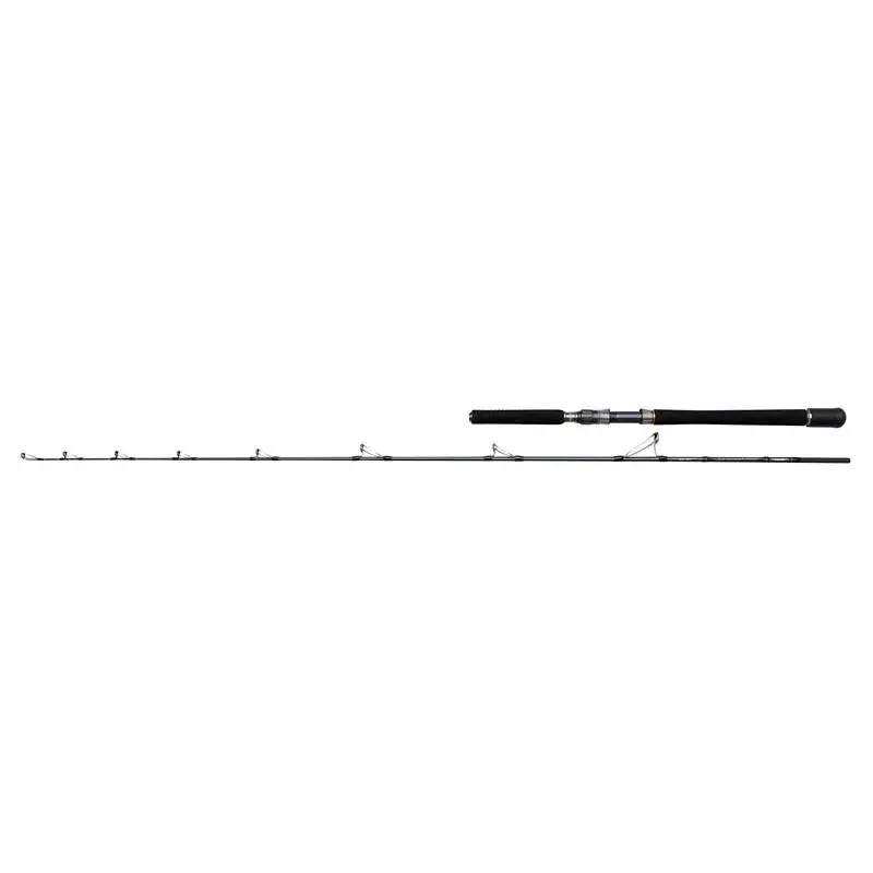 Gecertificeerd PENN BATTALION SOLID Bait Boat 6FT6/1.98M F 20-30LB 1+1Sec C