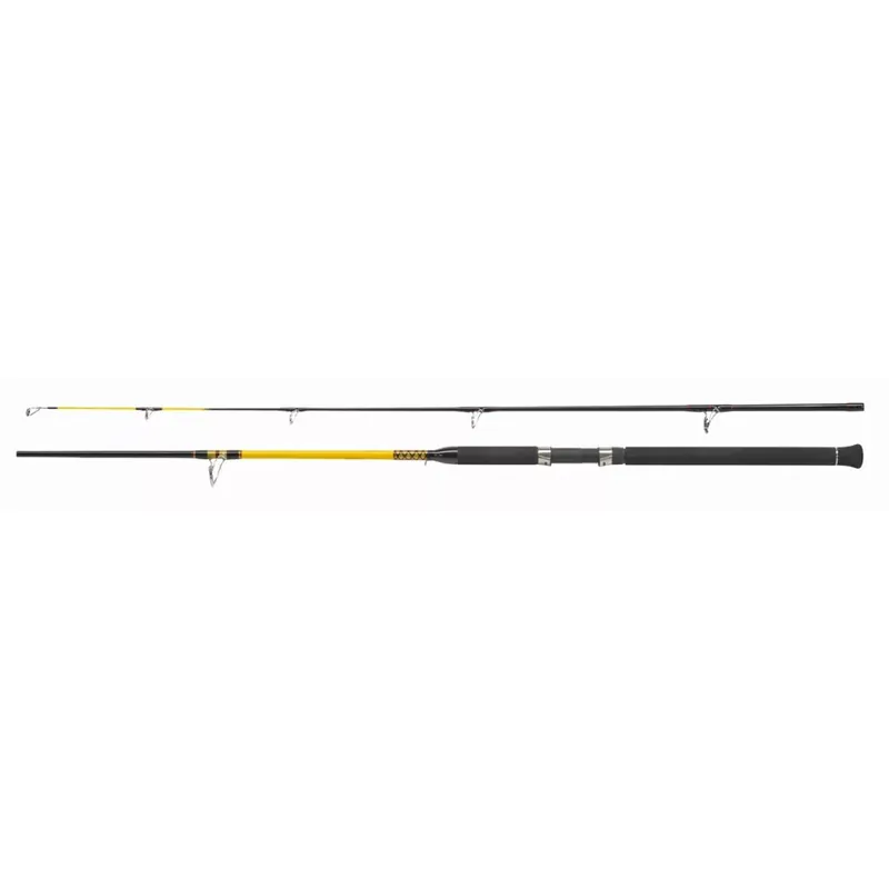 BOT WFT NEVER CRACK BIG FISH 150-700G 2,70M - A Fabrieksprijs