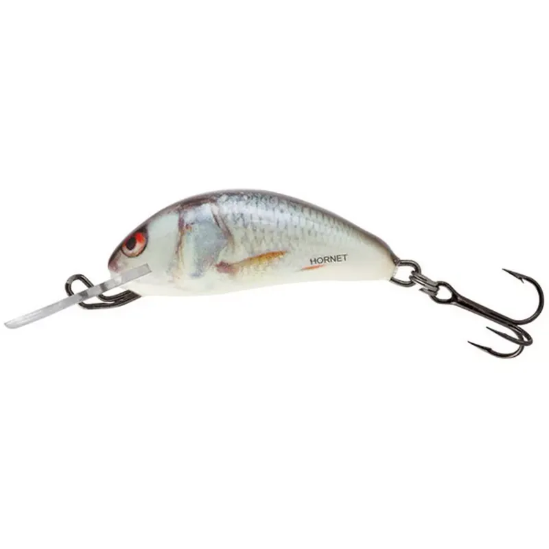 Laatste Kans SALMO WOBBLER HORNET H3F RDzfels